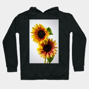 Two Striking Yellow And Orange Sunflowers Hoodie